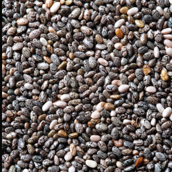Organic Black Chia Seeds 5KG